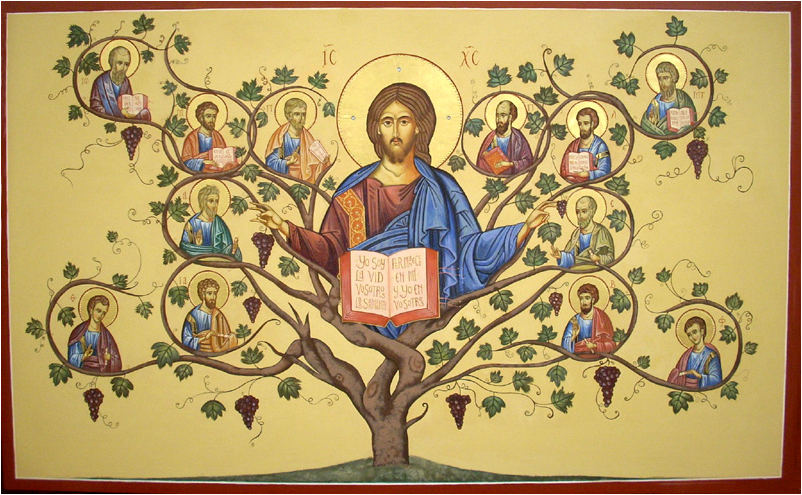 O bio-sistema de Jesus: a Videira e os ramos (02/05/2021) « Centro Loyola  de Fé